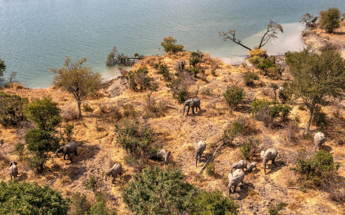 Kafue National Park Safari